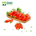 Goji Berry Extract Polysacharides Powdert